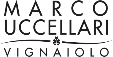 Marco Uccellari